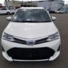 Toyota Corolla Fielder Hybrid WXB – 2019