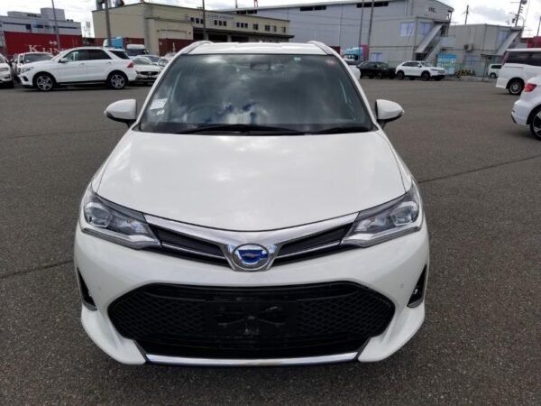 Toyota Corolla Fielder Hybrid WXB – 2019
